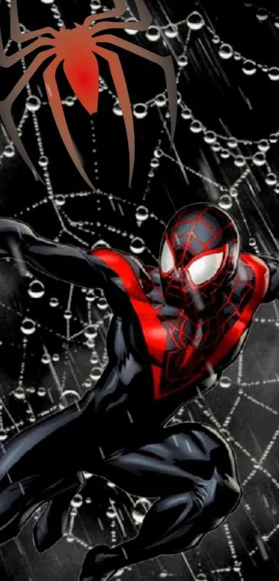 Dynamic Spider-Man on a black web background wallpaper.