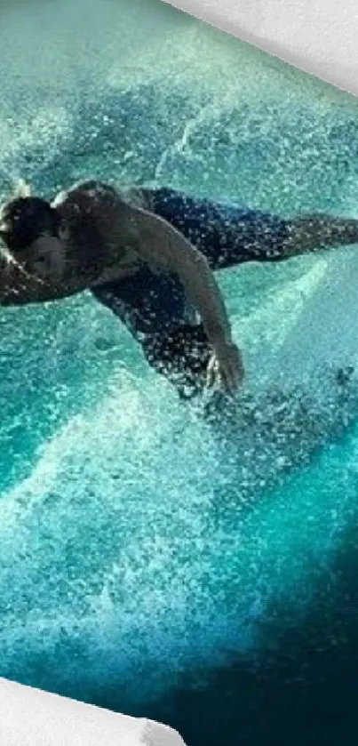 Surfer riding a dynamic wave on a vibrant ocean backdrop.