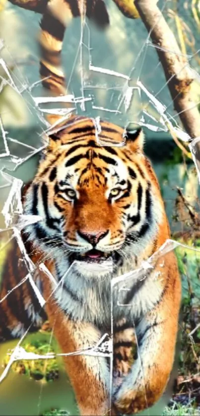 Dynamic tiger breaking through shattered glass in a vibrant jungle scene.