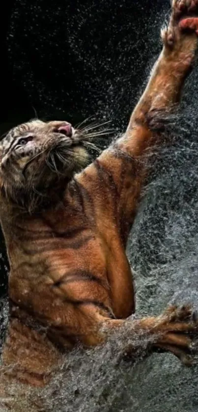 Tiger leaping through water in dynamic wallpaper.