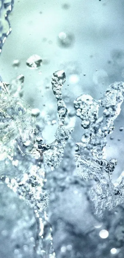 Dynamic water splash with shimmering droplets, perfect for mobile wallpaper.