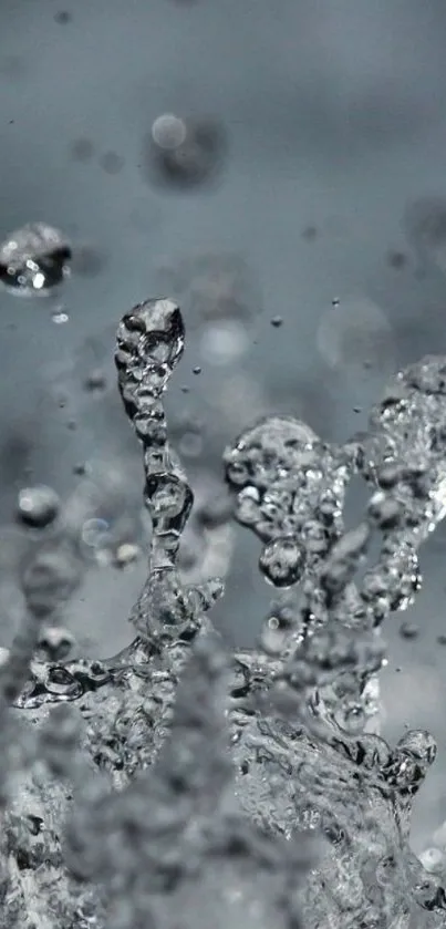 Dynamic splash of water droplets in motion wallpaper.