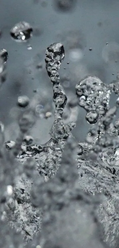 Close-up view of water splash on dark gray background.