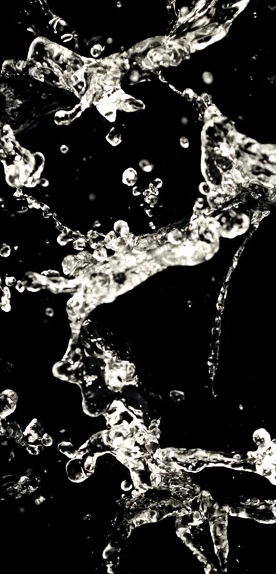 Vibrant water splash against black background, perfect for mobile wallpaper.