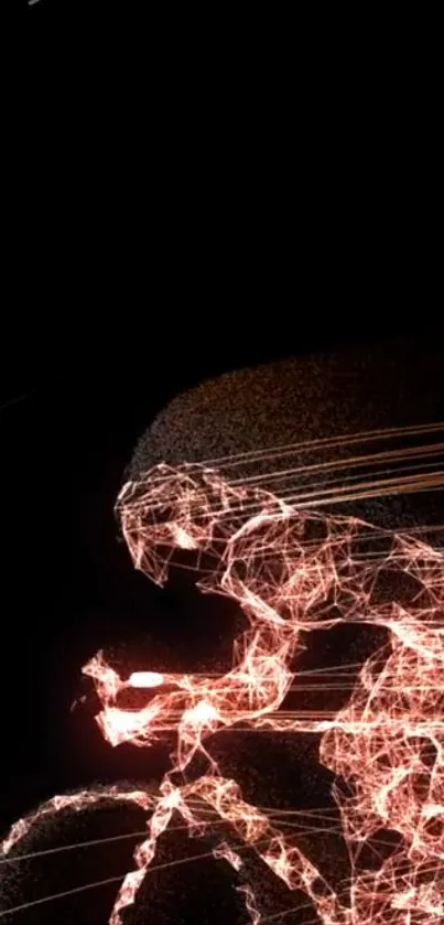 Dynamic wireframe cyclist art with light trails on a black background.