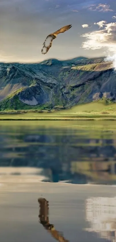 Eagle flying over mountains with lake reflection.