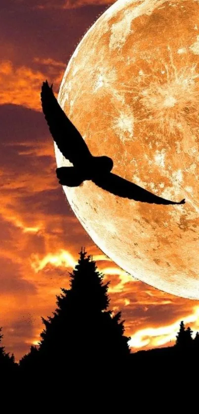 Eagle silhouette under an orange full moon at sunset.