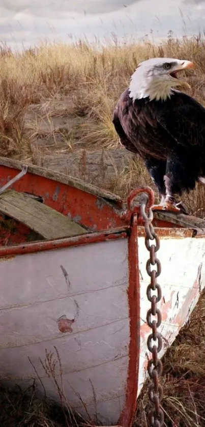 An eagle perched on a rustic boat in a grassy landscape.