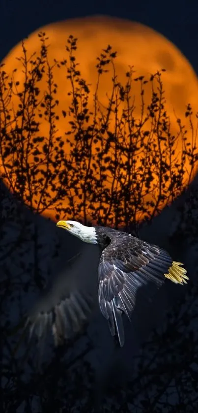 Majestic eagle flying with an orange full moon in the background.