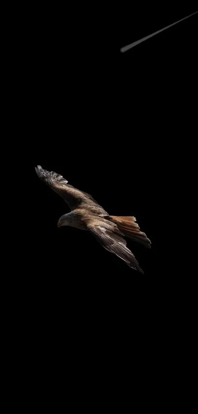 Eagle soaring in the dark night sky with a shooting star.