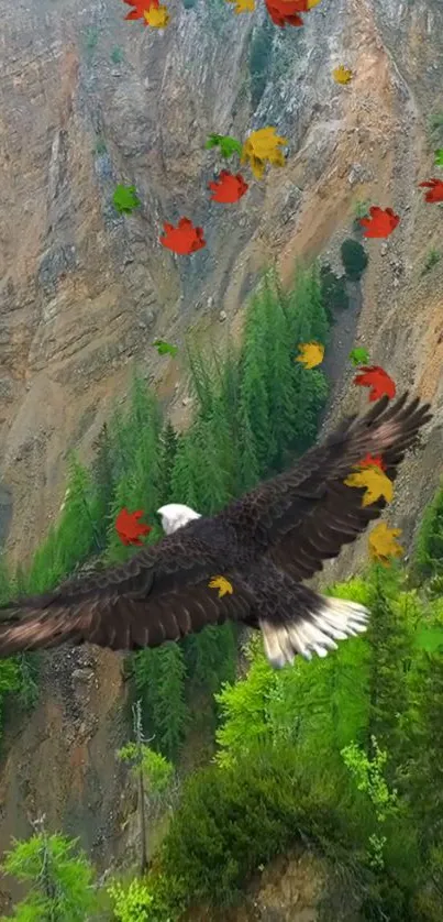 Eagle soaring over a lush green forest with colorful autumn leaves.