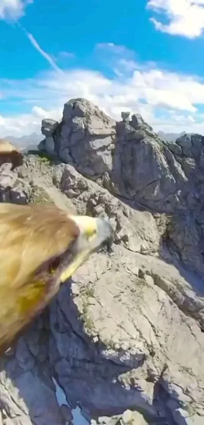 Eagle soaring over rugged mountains under blue sky.