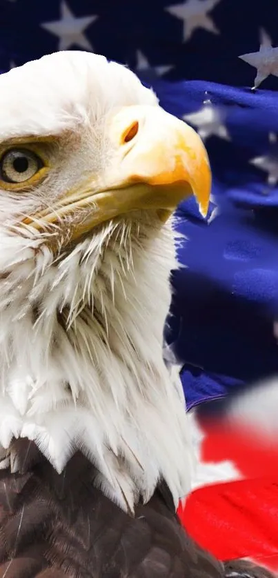Bald eagle against flying American flag background.