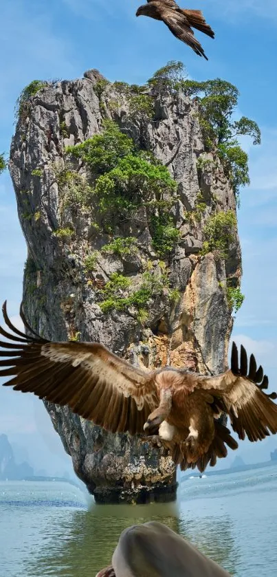 Eagles soaring over a limestone island under a blue sky.