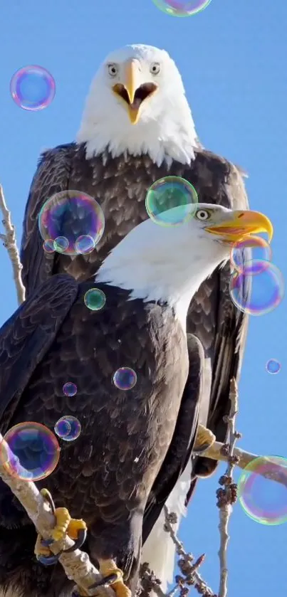 Two eagles with colorful bubbles on branches against a blue sky.