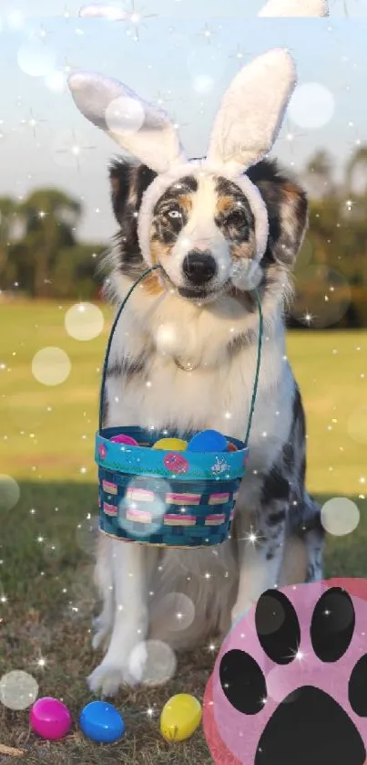 Dog with bunny ears and Easter eggs in bright outdoor setting.