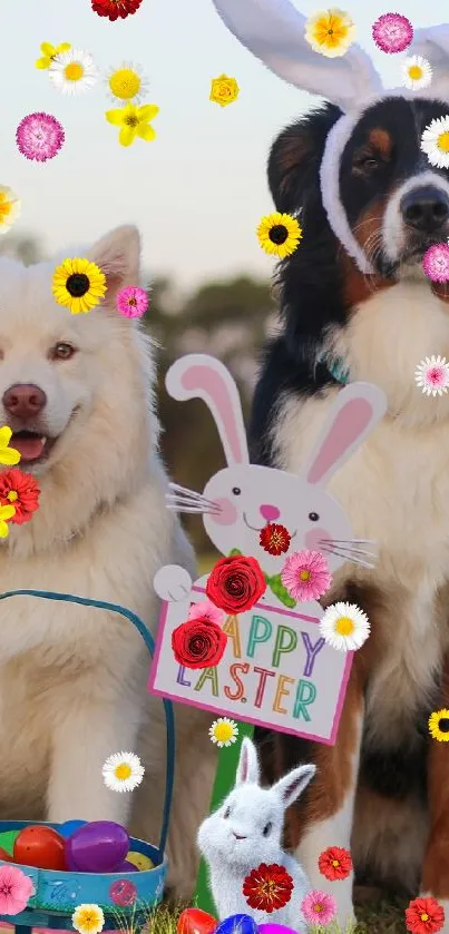 Three dogs with bunny ears and Easter basket.