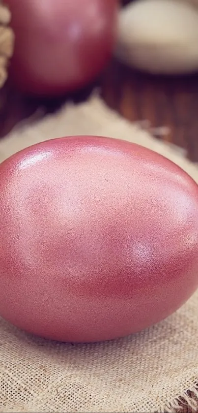 Blush pink Easter egg on rustic fabric background.