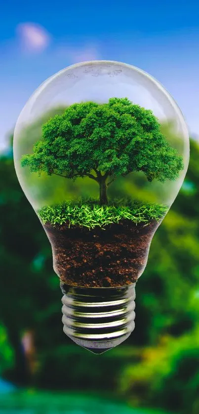 Tree inside a light bulb wallpaper with vibrant colors.