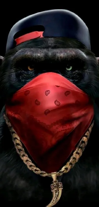 Gorilla wearing red bandana and cap with chain