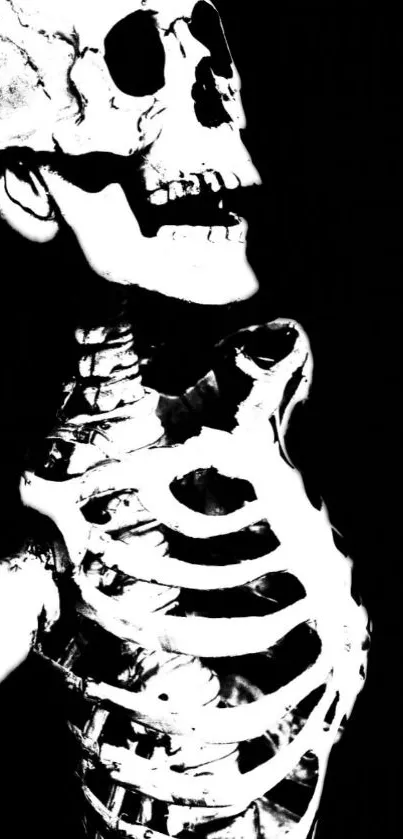 Black and white edgy skeleton wallpaper design.