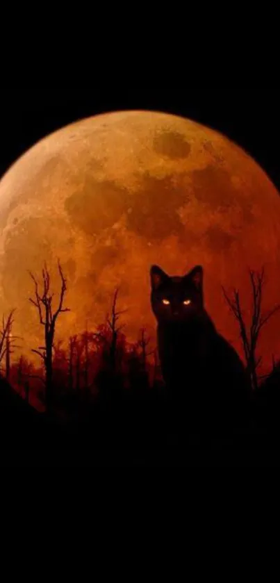 Mystical cat silhouette against an orange moon with a dark forest backdrop.