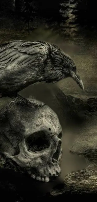 A dark wallpaper featuring a crow on a skull.