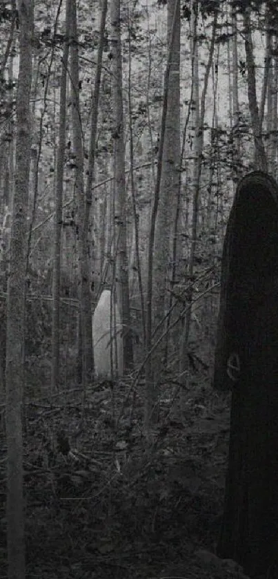 Eerie dark forest with mysterious shadowy figure in the woods.