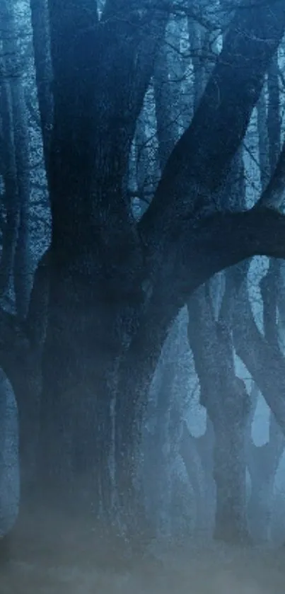 Misty forest with towering dark trees and a blue hue.