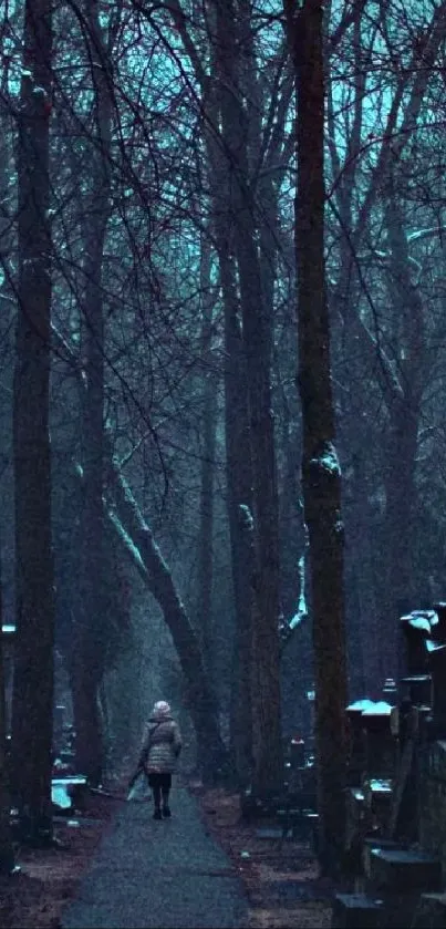 Eerie forest path surrounded by mist and shadows in a dark blue palette.