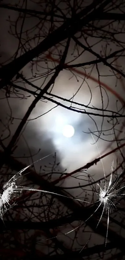 Eerie night view with moon and cracked screen effect on branches.