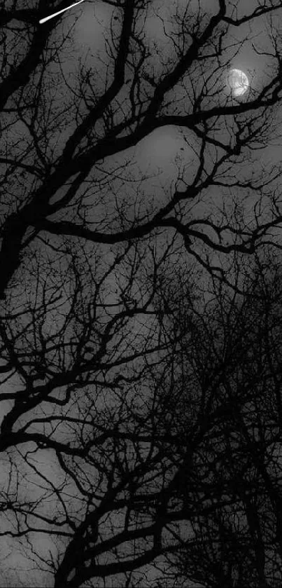 Eerie forest with moonlit branches and dark sky.