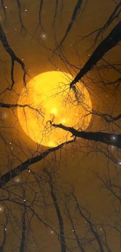 Moonlit forest with silhouetted branches against a glowing orange moon.