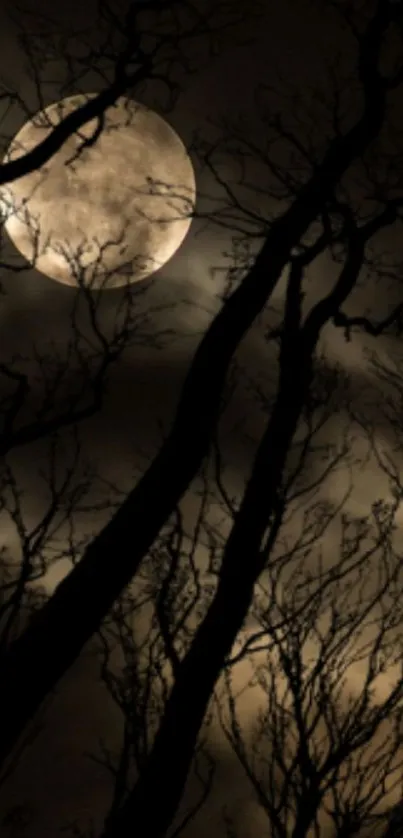 Dark silhouettes of trees against a full moon in a night sky scene.