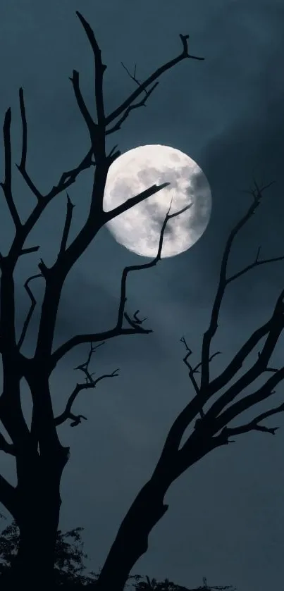 Silhouette of a tree against a full moon night sky.