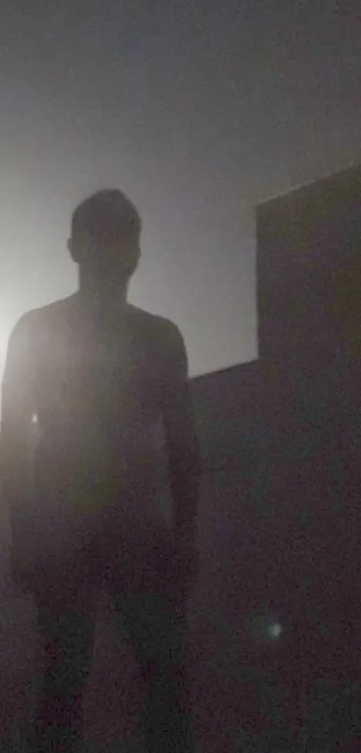 Silhouette in moonlight with dark sky backdrop.
