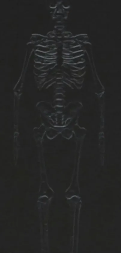 Dark skeleton wallpaper with black background, perfect for mobile.