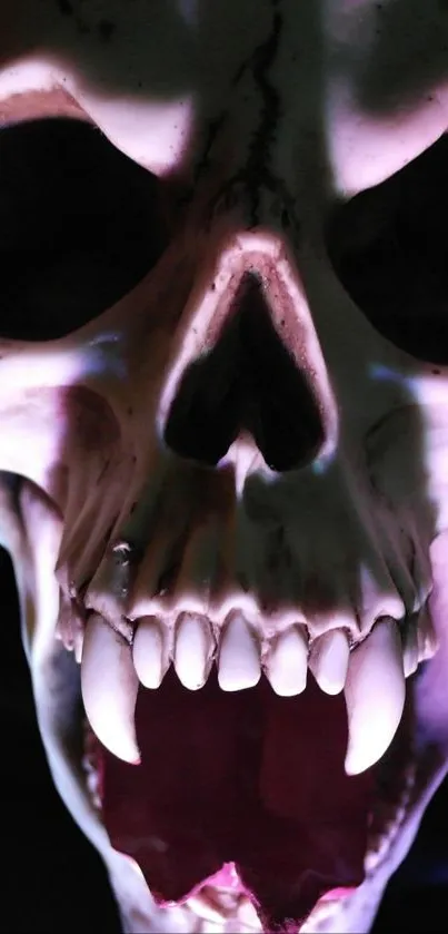 Close-up of a haunting skull with dark shadows and eerie lighting.