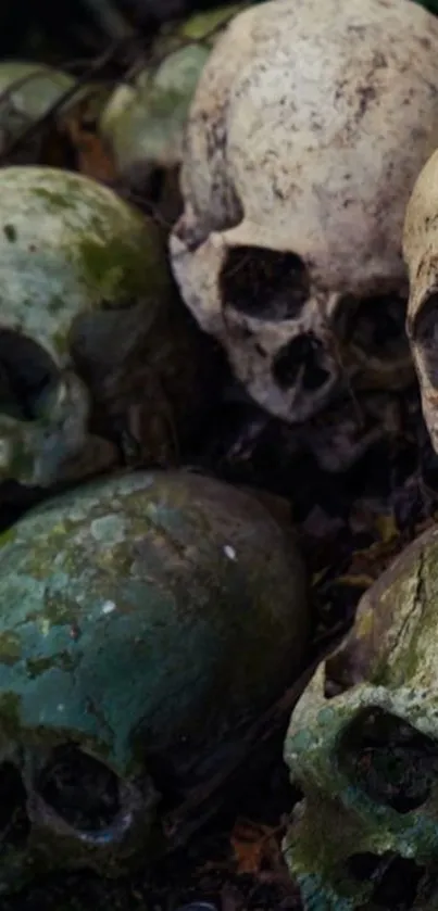 Eerie skulls with mossy texture mobile wallpaper.