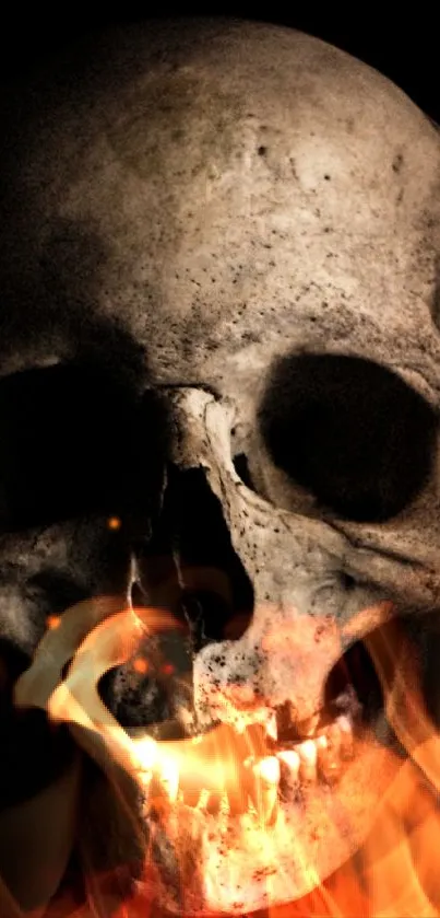 Eerie skull on a black background, creating a mysterious vibe.
