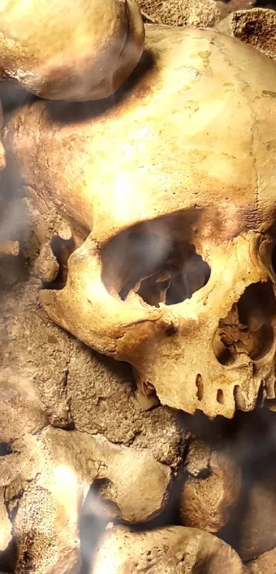 Eerie skull wallpaper featuring ancient bones.