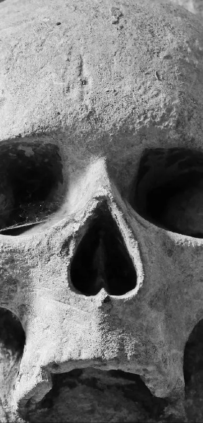 Eerie stone skull with detailed texture in grayscale.