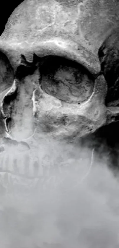 Skull with a smoky background, eerie mobile wallpaper.
