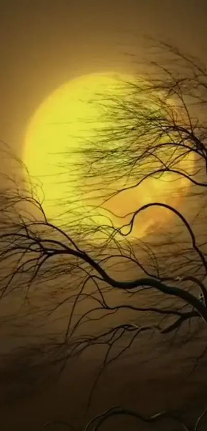 Leafless tree against a yellow glowing moon at night.