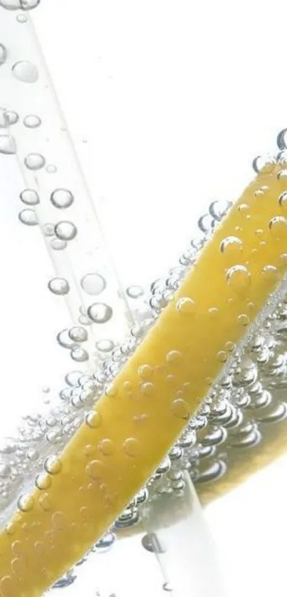 Effervescent lemon slice and bubbles mobile wallpaper.