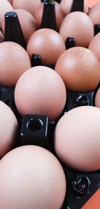 Brown eggs in a black tray mobile wallpaper with a minimalist design.