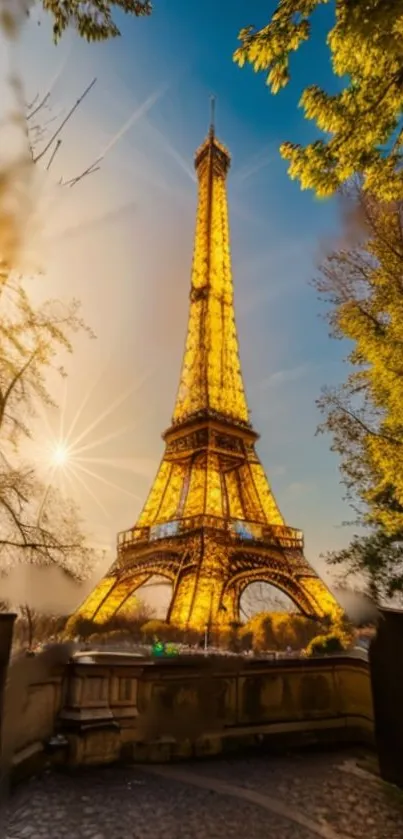 Eiffel Tower glowing at sunset in autumn leaves.