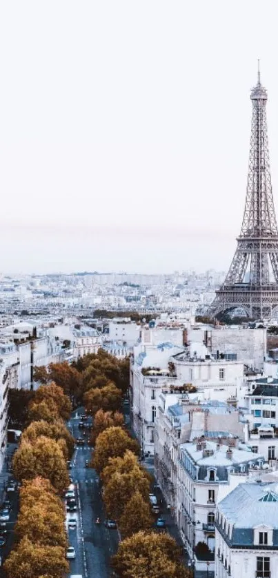 Eiffel Tower cityscape in Paris during autumn.