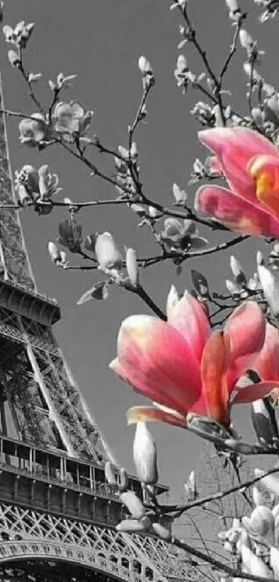 Eiffel Tower with pink blossoms in black-and-white background.