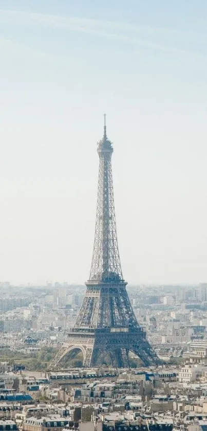 Eiffel Tower cityscape wallpaper with blue sky.